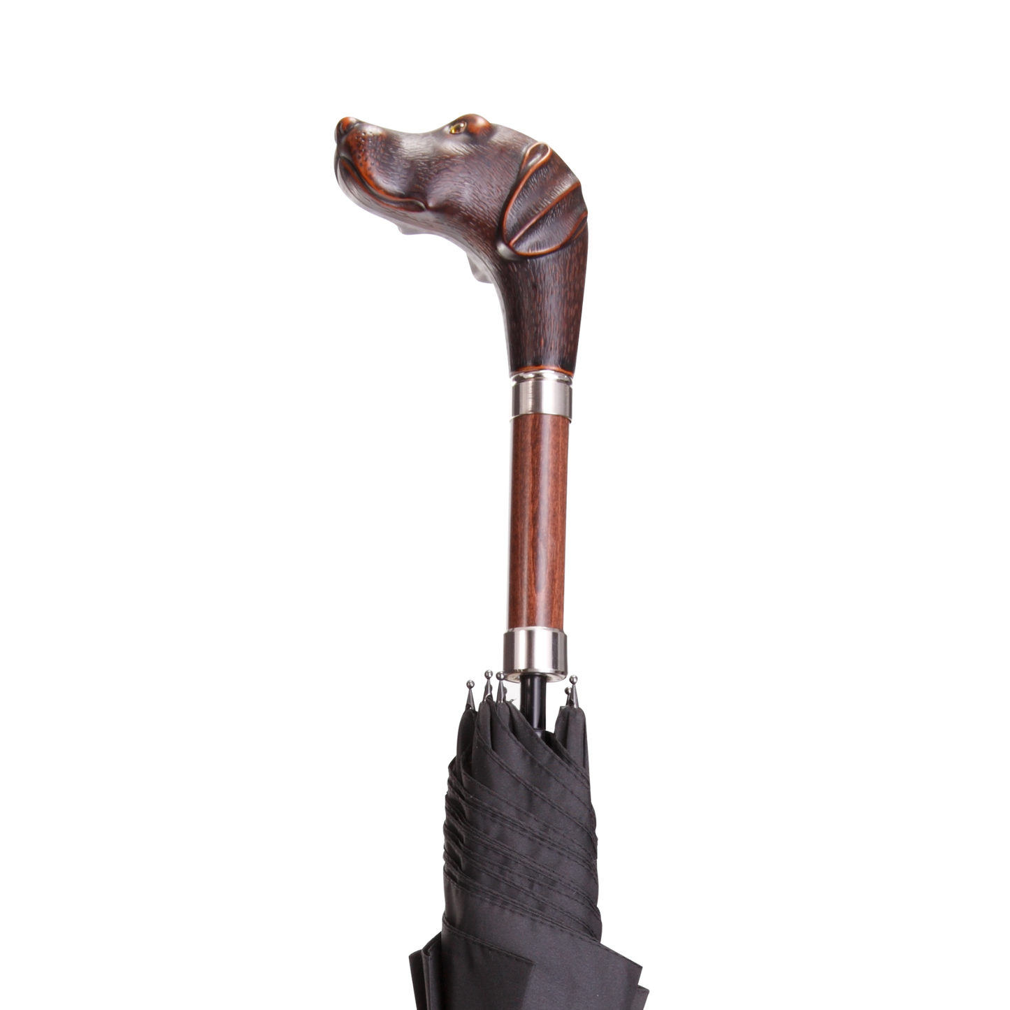 Brownie Umbrella