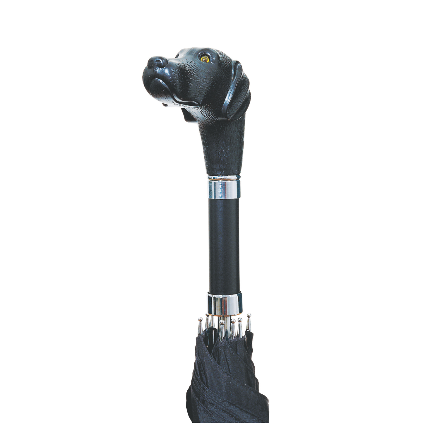 Scout Umbrella
