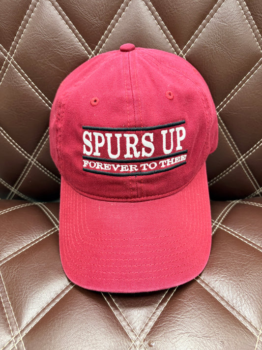 Gamecocks Spurs Up Dad Hat